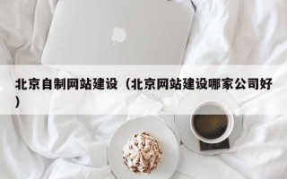 济宁北京自制网站建设（北京网站建设哪家公司好）